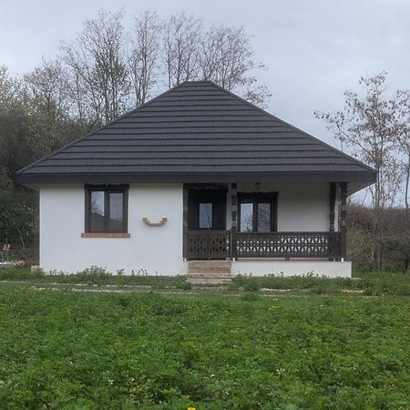 Tîrgu OcnaCasa Livada Bunicii别墅 外观 照片