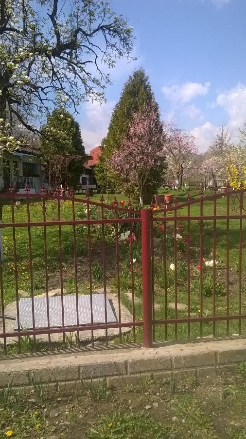 Tîrgu OcnaCasa Livada Bunicii别墅 外观 照片