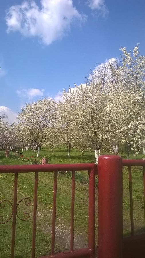 Tîrgu OcnaCasa Livada Bunicii别墅 外观 照片