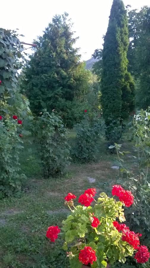 Tîrgu OcnaCasa Livada Bunicii别墅 外观 照片