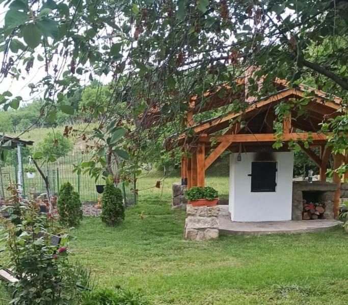 Tîrgu OcnaCasa Livada Bunicii别墅 外观 照片